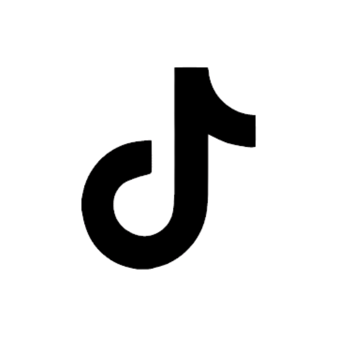 TikTok Logo